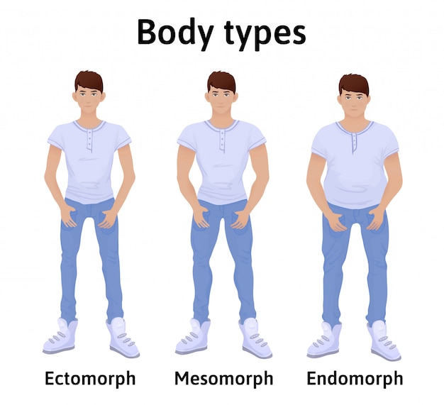 endomorph jeans