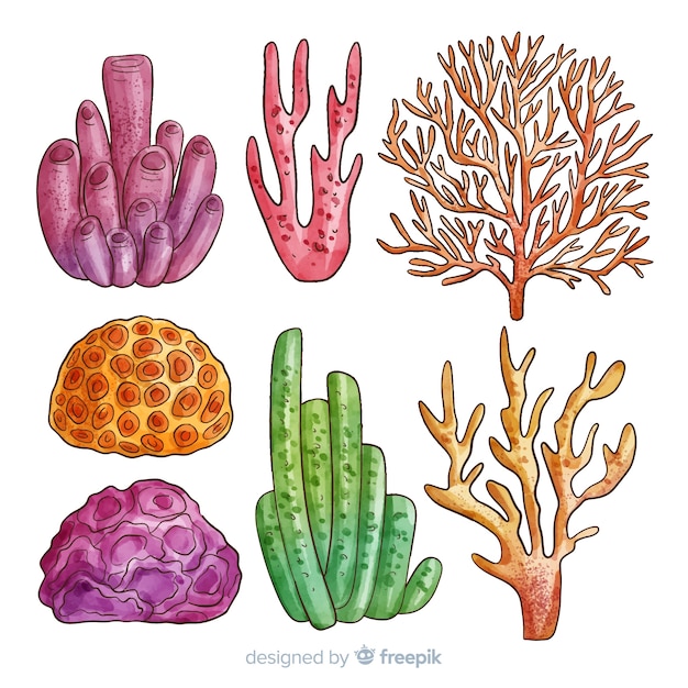 Download Coral collection | Free Vector