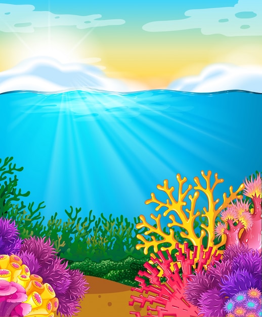 Coral reef under the sea | Premium Vector