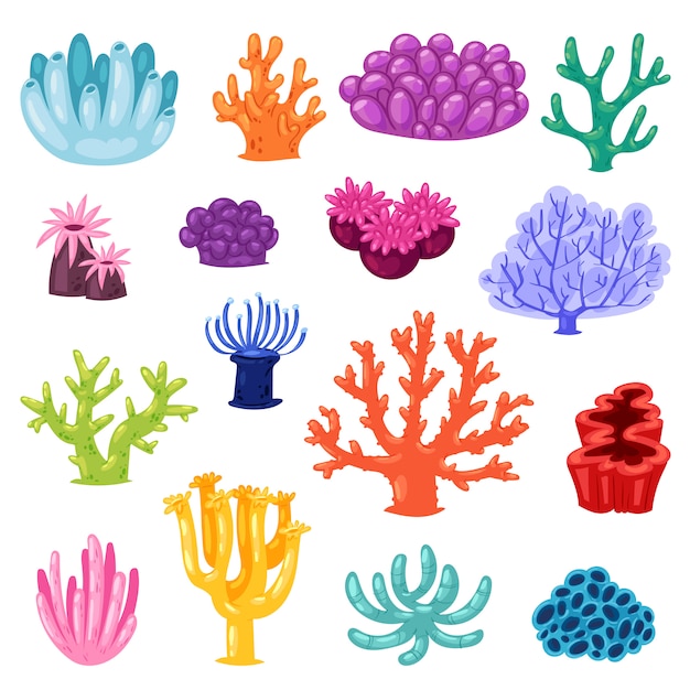 Premium Vector | Coral sea coralline or exotic cooralreef undersea ...