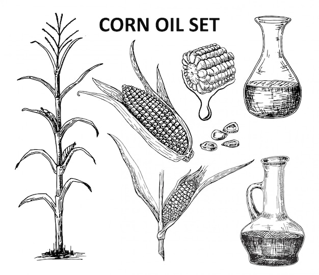 コーン油セットインク手描きイラスト プレミアムベクター