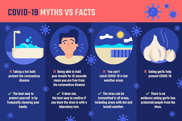 Coronavirus myths and facts infographic Free Vector