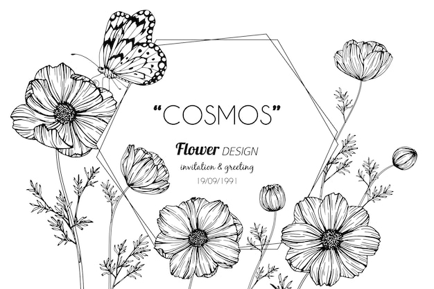 Premium Vector | Cosmos flower