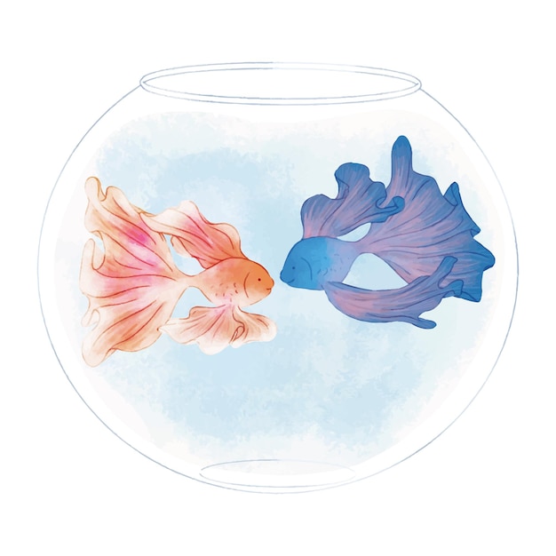 ボウルタンクかわいいイラストのベタ魚のカップル プレミアムベクター