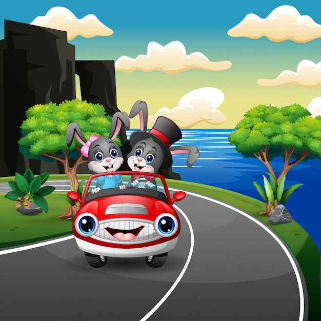 Premium Vector | Couples rabbit cartoon driving a car in the seaside road