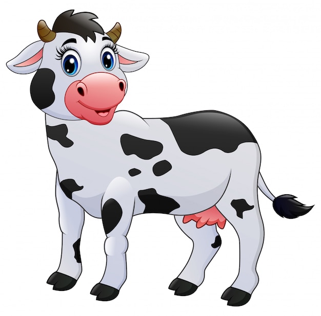 Premium Vector | Cow cartoon isolated on white