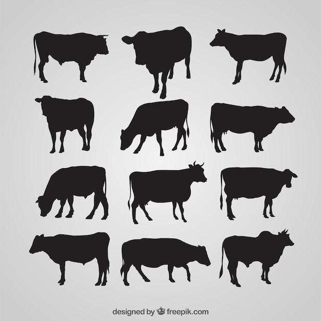 Cow silhouettes collection Vector | Premium Download