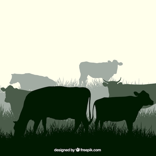 Download Cow silhouettes Vector | Free Download
