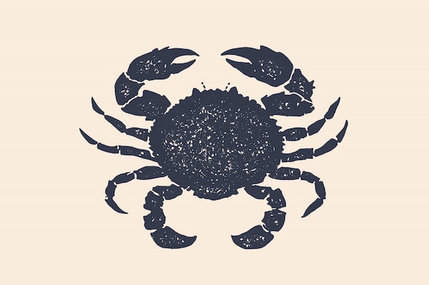 Download Crab silhouette. concept hand drawn. black silhouette ...