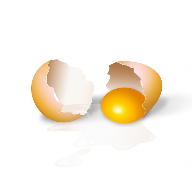 ひびの入った鶏の卵のリアルな3 Dイラスト プレミアムベクター