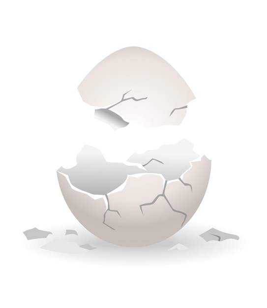 Premium Vector | Cracked egg. eggshell cracking stage. realistic ...