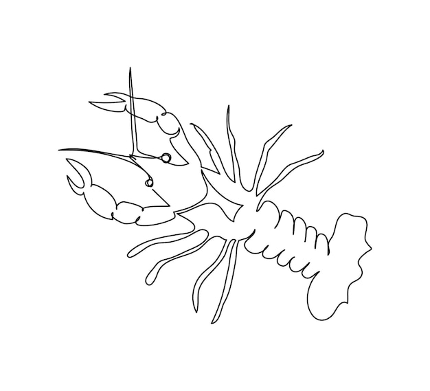 Premium Vector | Crayfish lobster continuous line drawing one line art ...