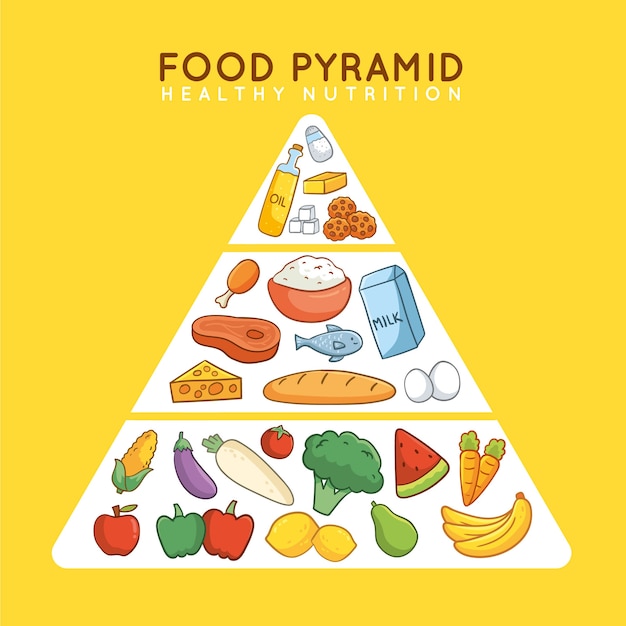 Free Vector | Creative illustrated food pyramid