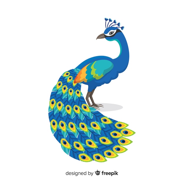 Download Free Peacock Images Free Vectors Stock Photos Psd Use our free logo maker to create a logo and build your brand. Put your logo on business cards, promotional products, or your website for brand visibility.