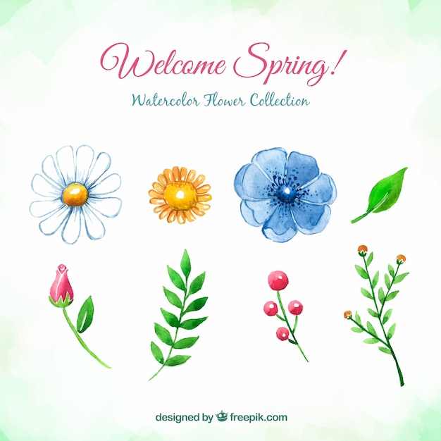 Creative watercolor spring flower
collection