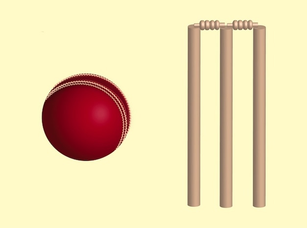 Cricket game design elements vector