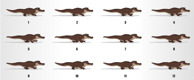 Crocodile walk cycle animation frames loop animation sequence sprite sheet Premium Vector