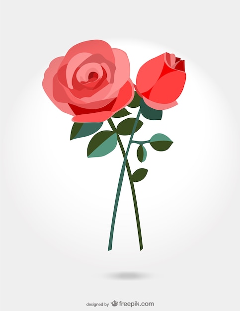 Crossed roses vector Vector | Free Download