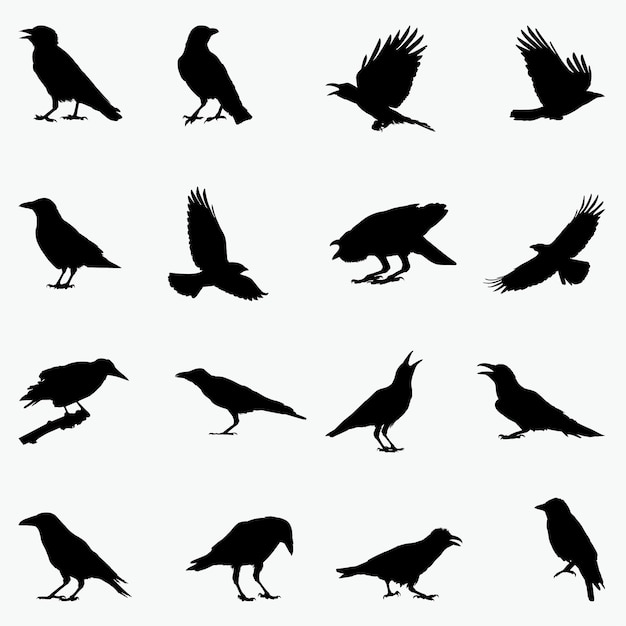 halloween crow vector