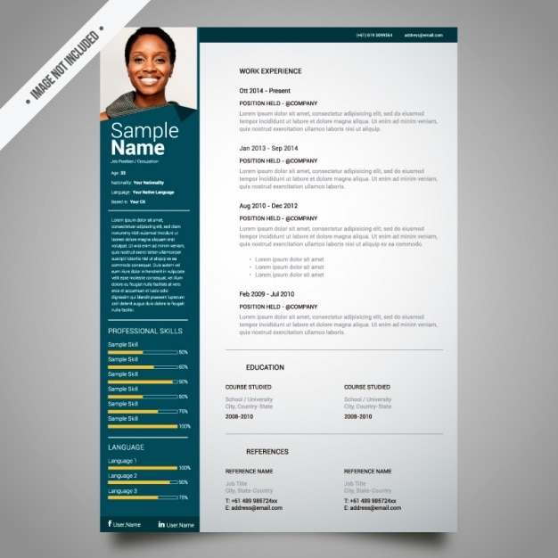 curriculum template design_1146 88