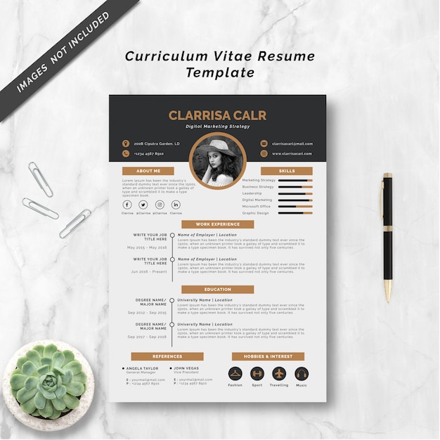 Curriculum vitae resume template Premium Vector