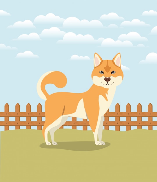 Download Cute akita inu dog pet in the camp Vector | Premium Download