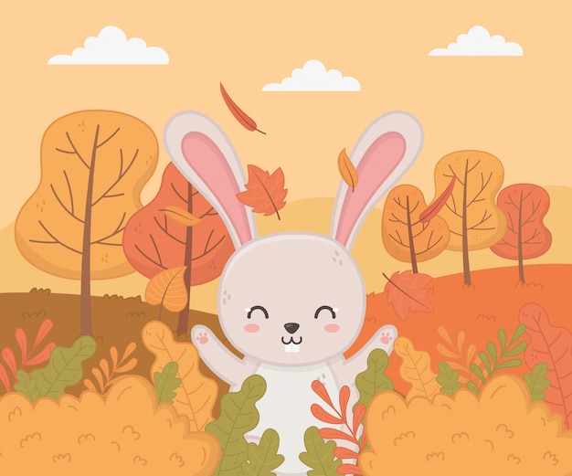 Premium Vector | Cute animal in autumn season