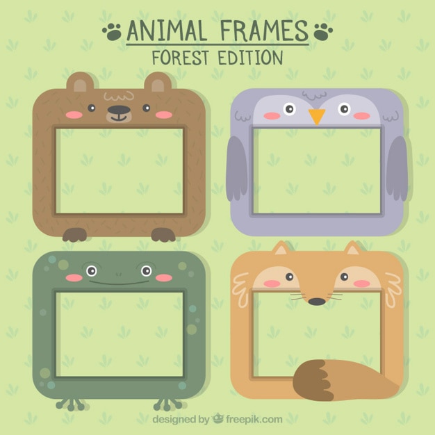 Cute animal frame collection