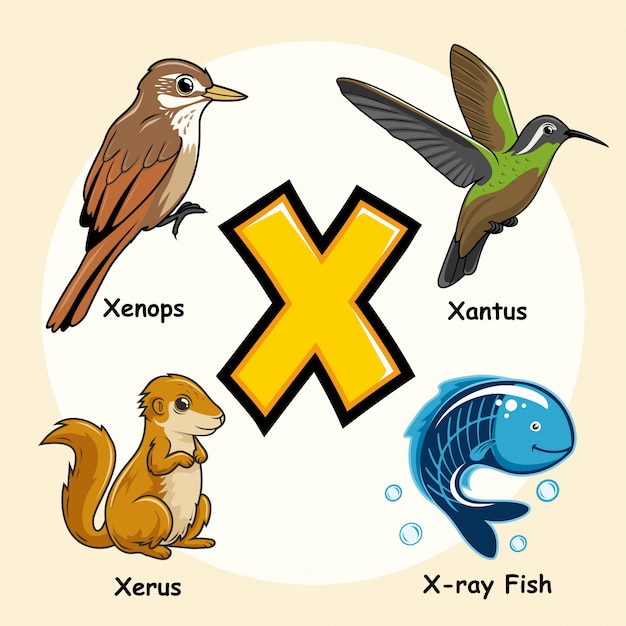 Cute animals alphabet letter x | Premium Vector