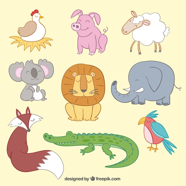 Cute animals in illustration style
