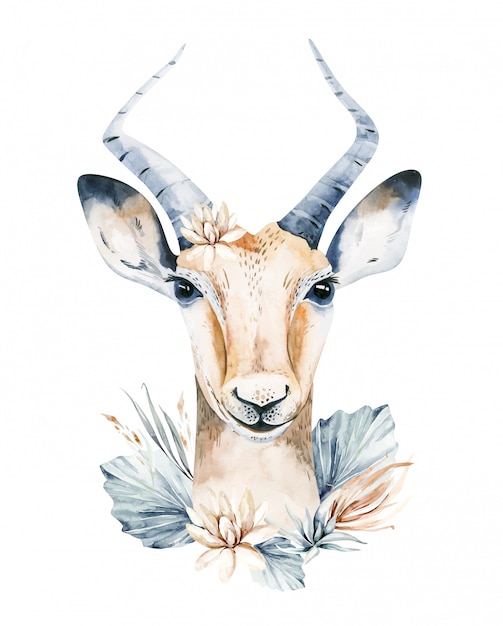 Download Cute antelope watercolor portrait savanna illustration. african wildlife animal | Premium Vector