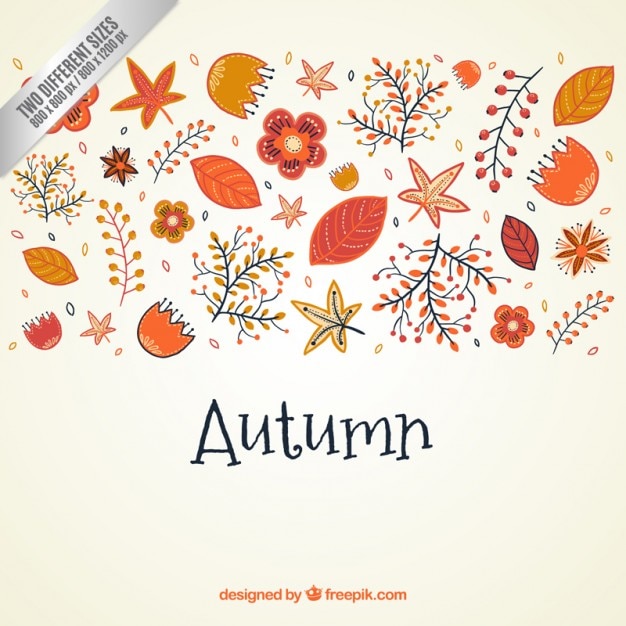 Cute autumn nature background