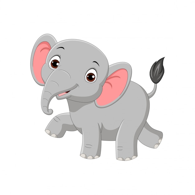 Download Cute baby elephant isolated on white | Premium Vector
