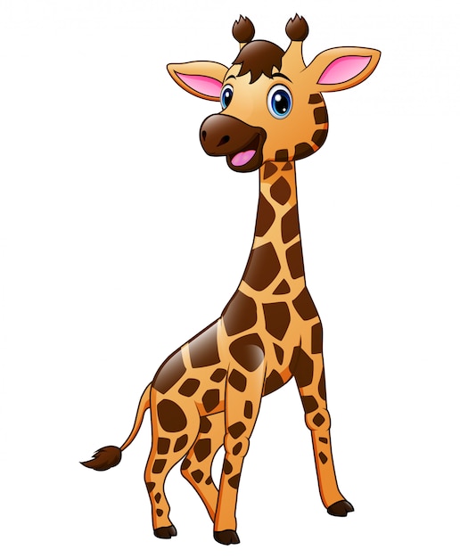 Premium Vector | Cute baby giraffe animal cartoon