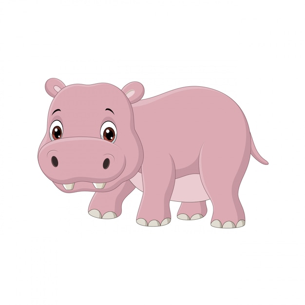 Download Cute baby hippo on white | Premium Vector