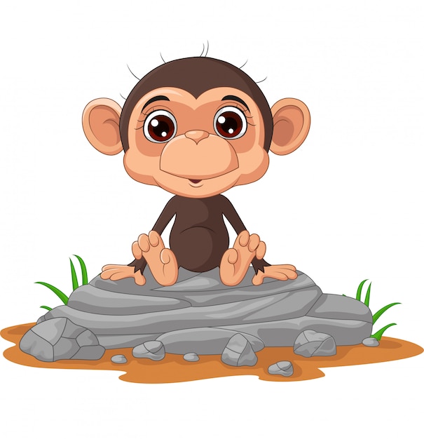 Premium Vector Cute Baby Monkey Cartoon Sitting On The Rock
