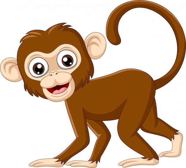 Download Cute baby monkey Vector | Premium Download