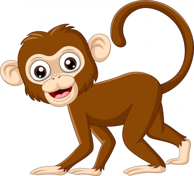 Cute baby monkey Vector | Premium Download