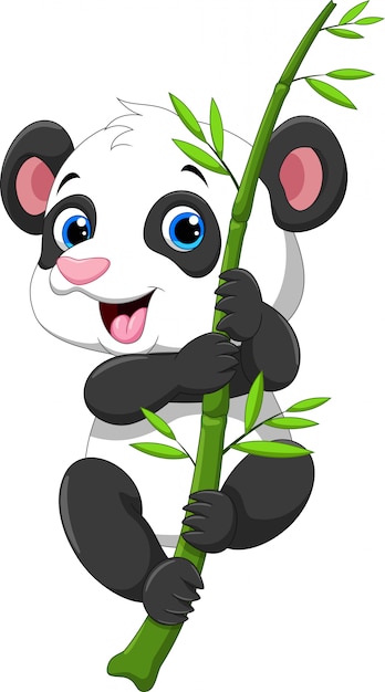 Download Cute baby panda hanging on a bamboo tree | Premium Vector