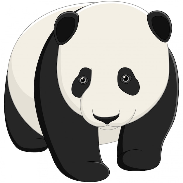 Cute baby panda isolated on white background | Premium Vector