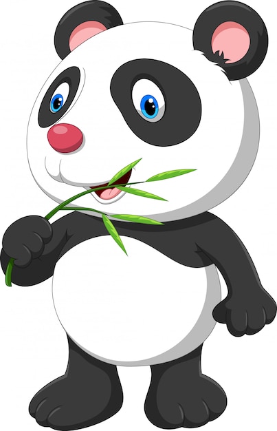 Download Cute baby panda with bamboo | Premium Vector