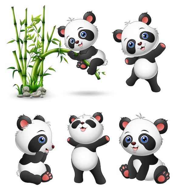 Cute baby pandas collection Vector | Premium Download