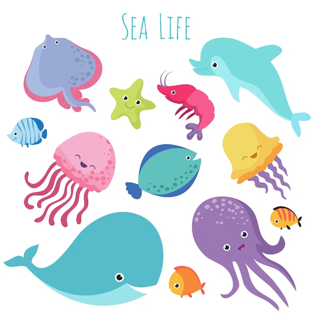 Underwater Sea Animals Cartoon - 1000 x 1080 jpeg 278 кб. - Na-sportowo-lim