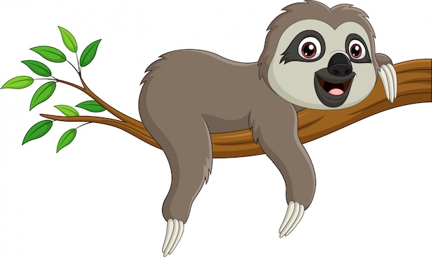 Cute baby sloth on tree branch | Premium Vector