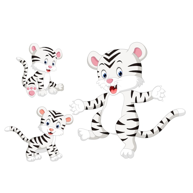 Download Cute baby white tiger Vector | Premium Download