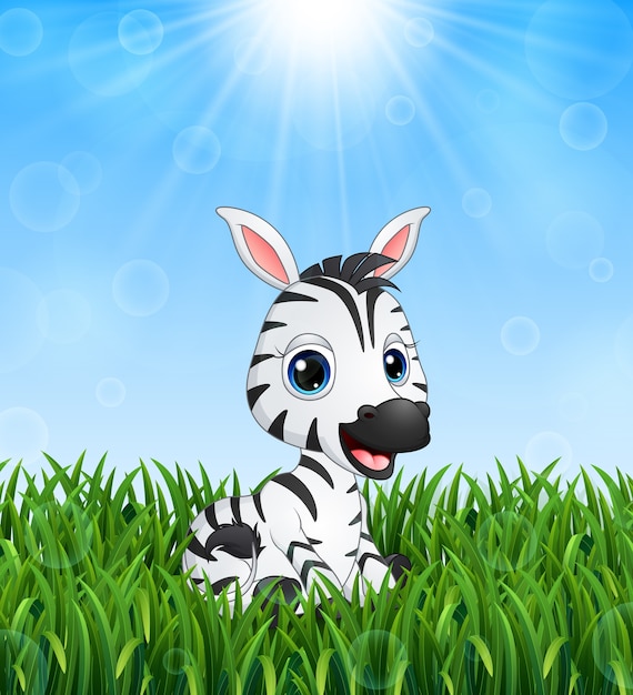 Download Cute baby zebra cartoon in the grass | Premium Vector