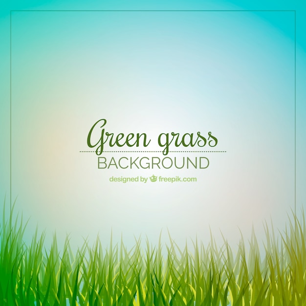 Cute background of green grass and sky