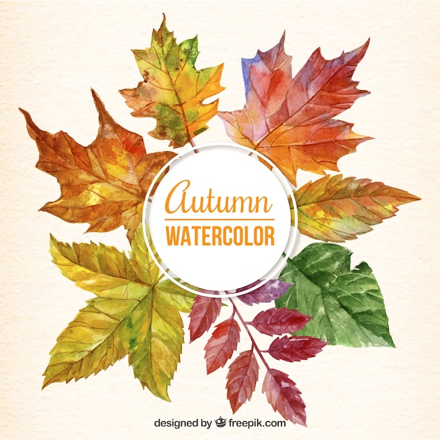 Cute background of watercolor autumnal leaves  Free Vector