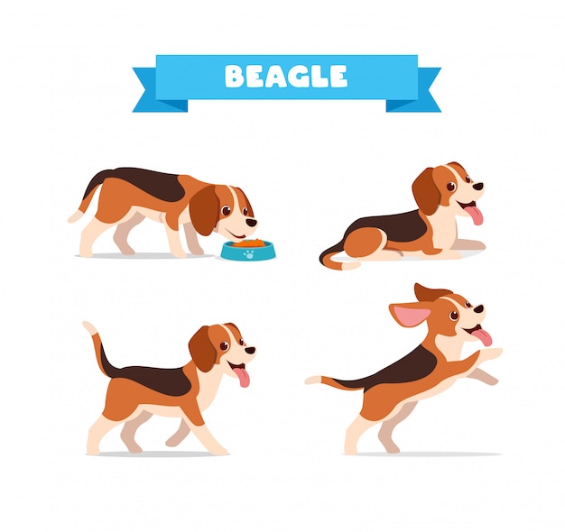 Download Premium Vector | Cute beagle dog animal pet with many pose ...