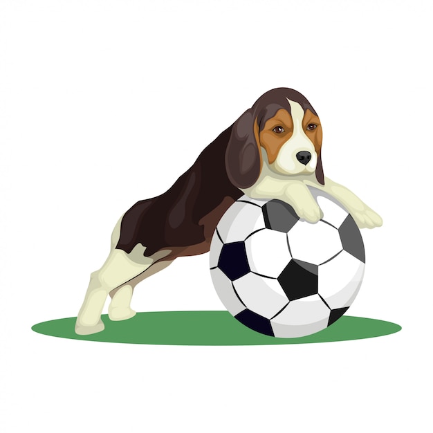 サッカーイラストで遊ぶかわいいビーグル犬 プレミアムベクター